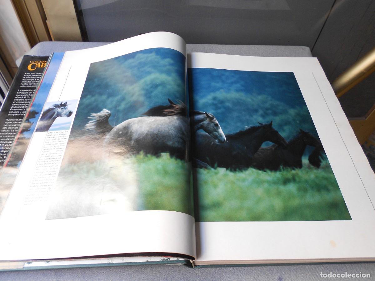 Libros de segunda mano: UN MUNDO DE CABALLOS - Foto 8