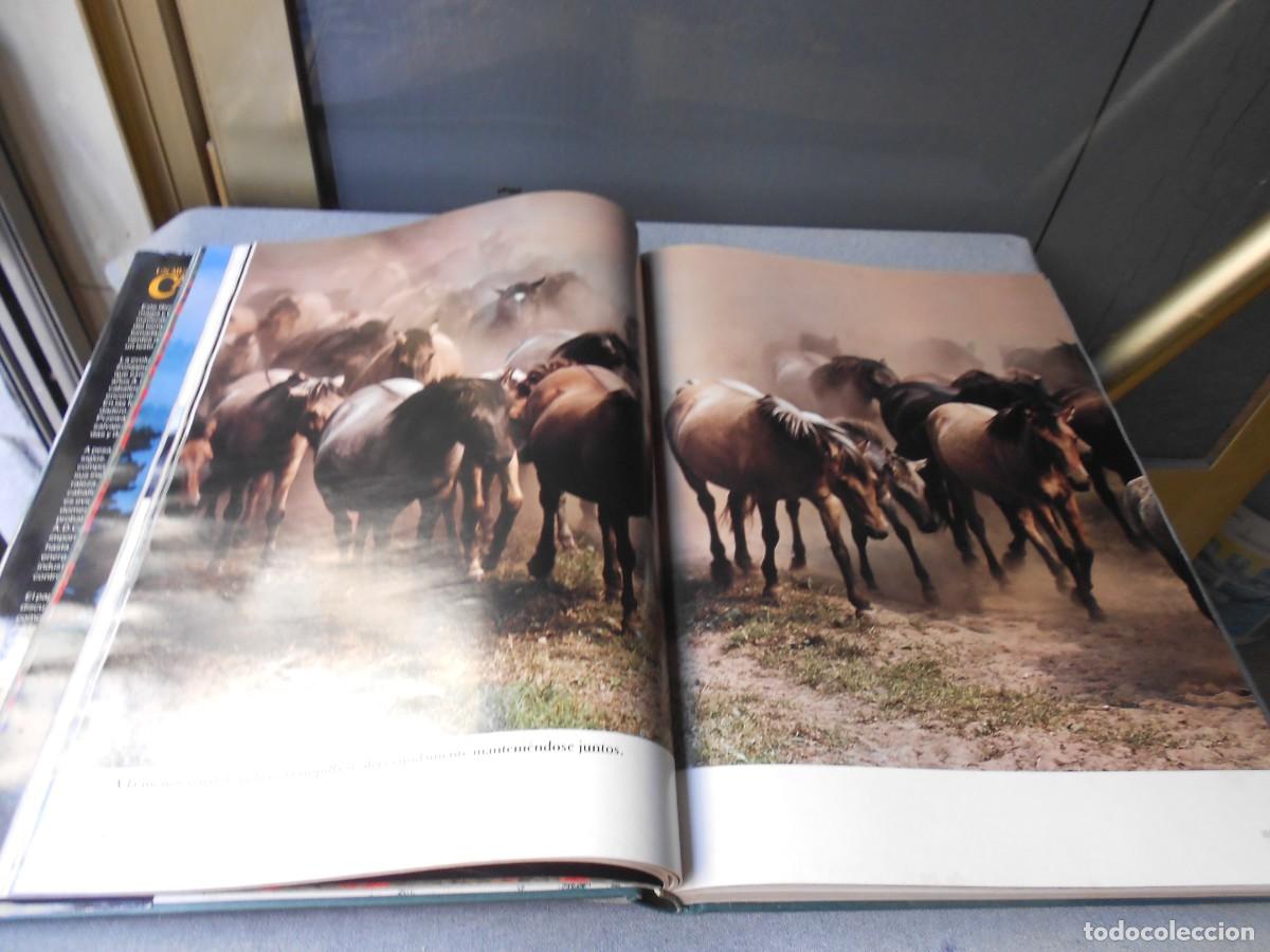 Libros de segunda mano: UN MUNDO DE CABALLOS - Foto 11