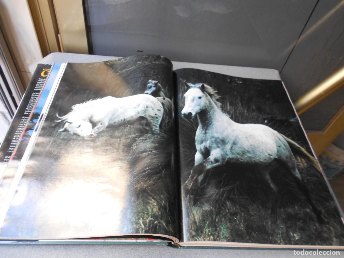Libros de segunda mano: UN MUNDO DE CABALLOS - Foto 13