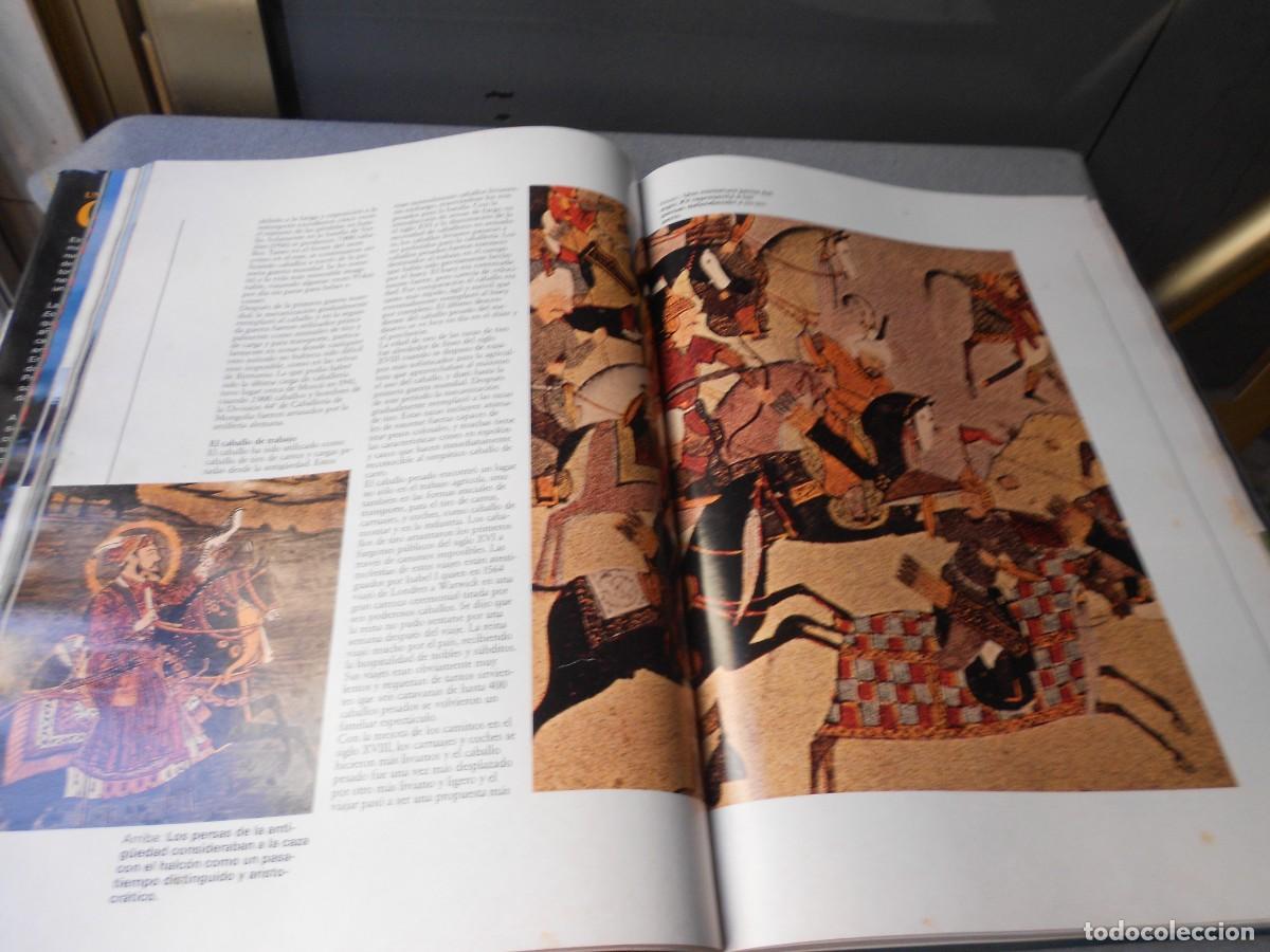 Libros de segunda mano: UN MUNDO DE CABALLOS - Foto 12