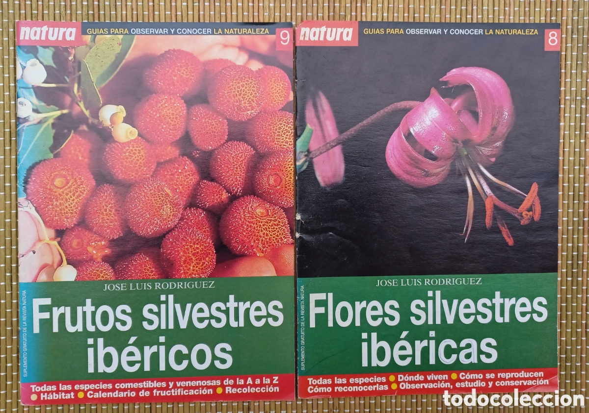 Libros de segunda mano: FRUTOS Y FLORES SILVESTRES iIB&Eacute;RICAS