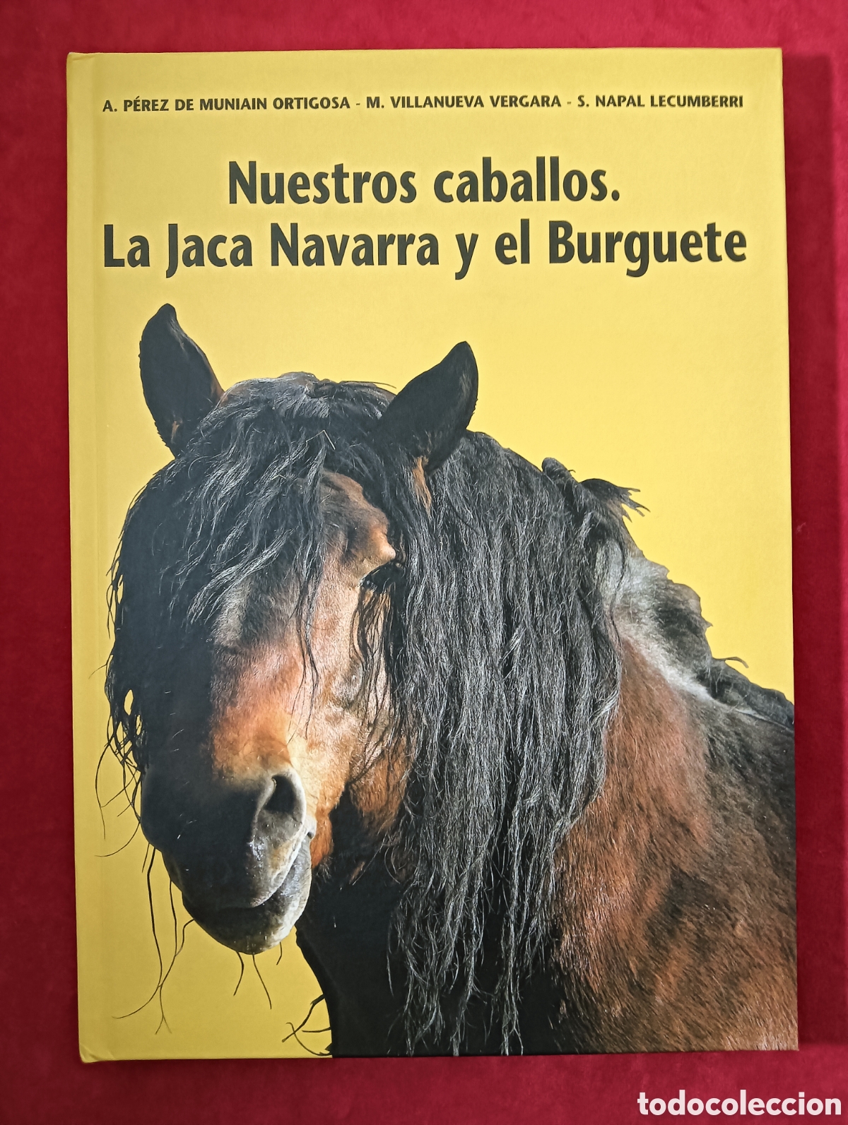 Libros de segunda mano: NUESTROS CABALLOS. LA JACA NAVARRA Y EL BURGUETE, P&Eacute;REZ DE MUNIAIN, MUY BUSCADO