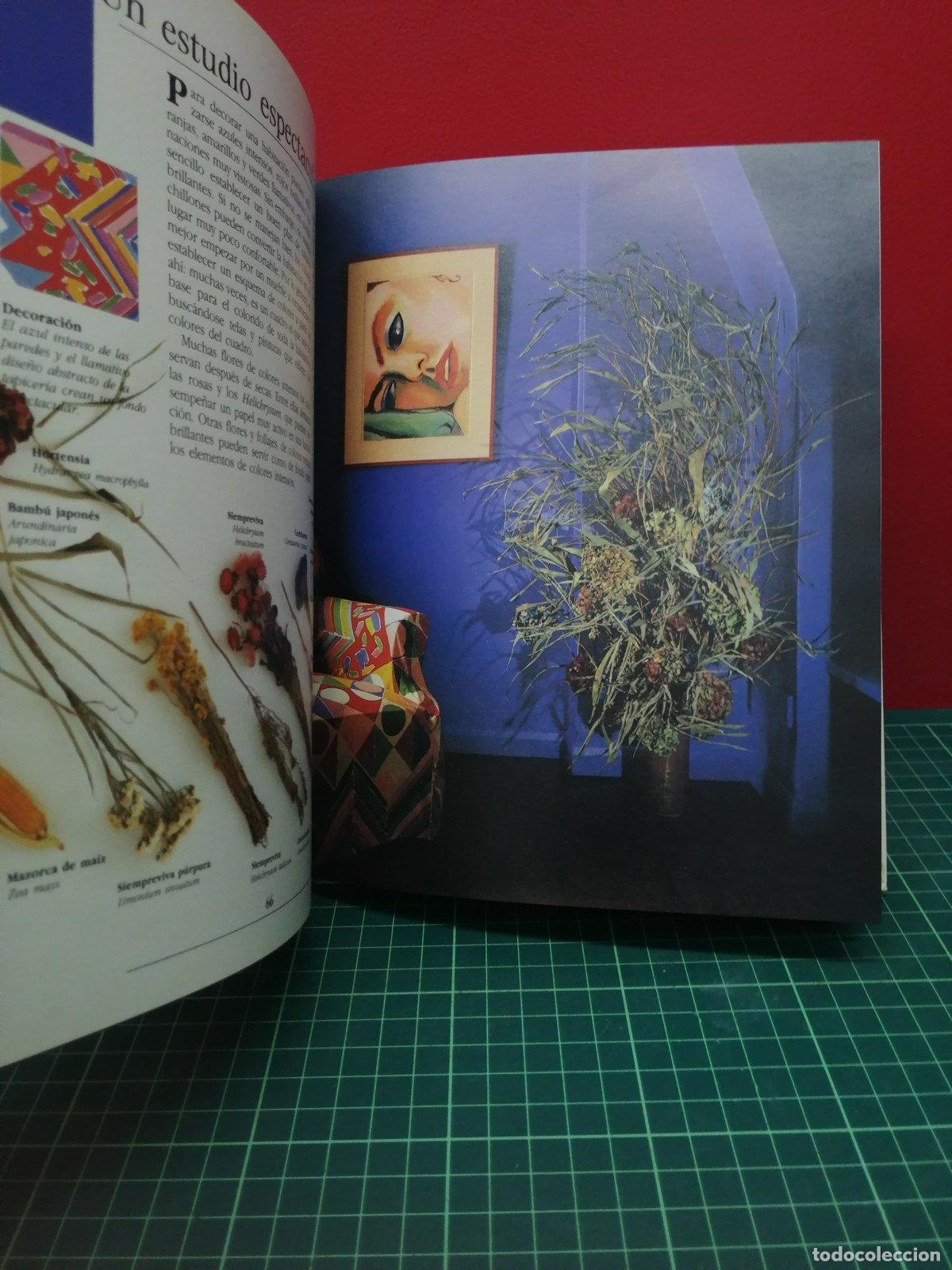 Libros de segunda mano de ciencias: C&oacute;mo decorar con flores secas - Malcolm Hillier - Foto 2