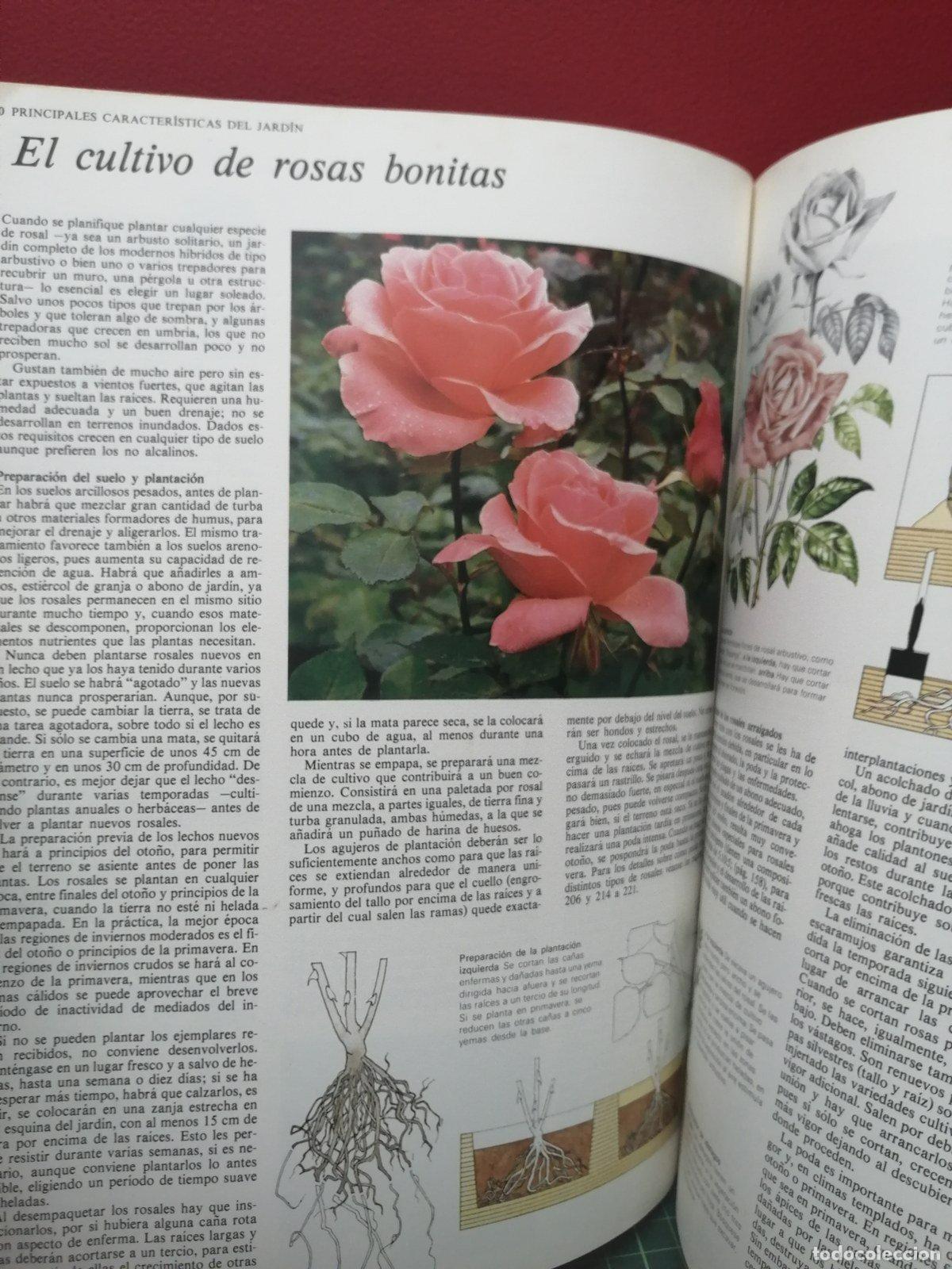Libros de segunda mano de ciencias: Gu&iacute;a pr&aacute;ctica ilustrada para el jard&iacute;n - Editorial Blume - Foto 2