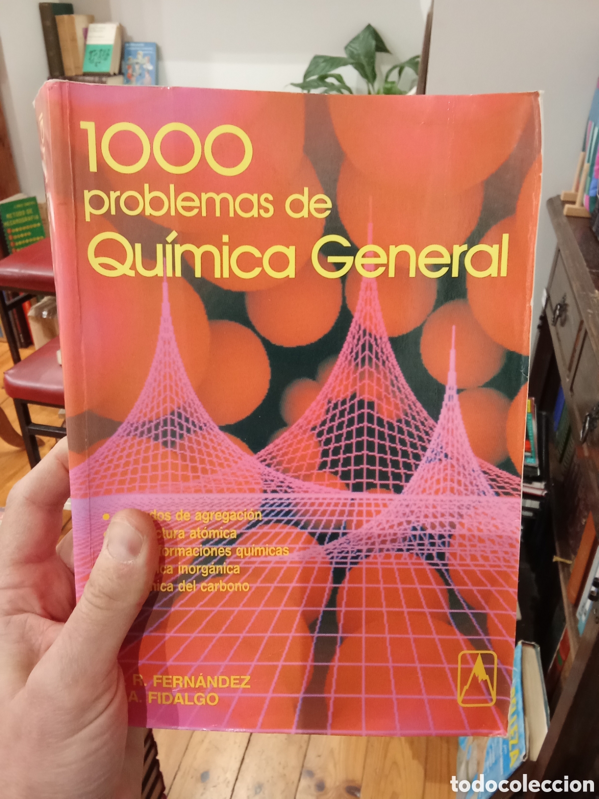 Libros de segunda mano de ciencias: 1000 problemas de Qu&iacute;mica General - M. R. Fern&aacute;ndez / J. A. Fidalgo - Everest