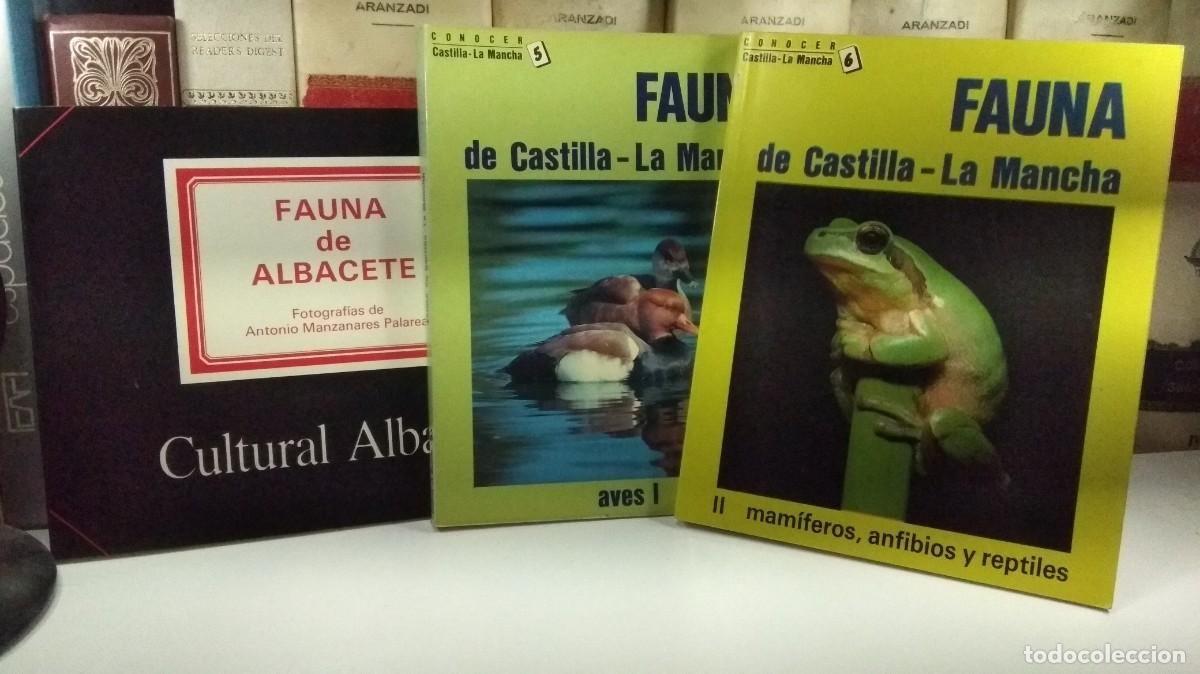 Libros de segunda mano: CAT&Aacute;LOGO DE LA EXPOSICI&Oacute;N FOTOGR&Aacute;FICA FAUNA DE ALBACETE. FAUNA DE CASTILLA-La MANCHA I-II.