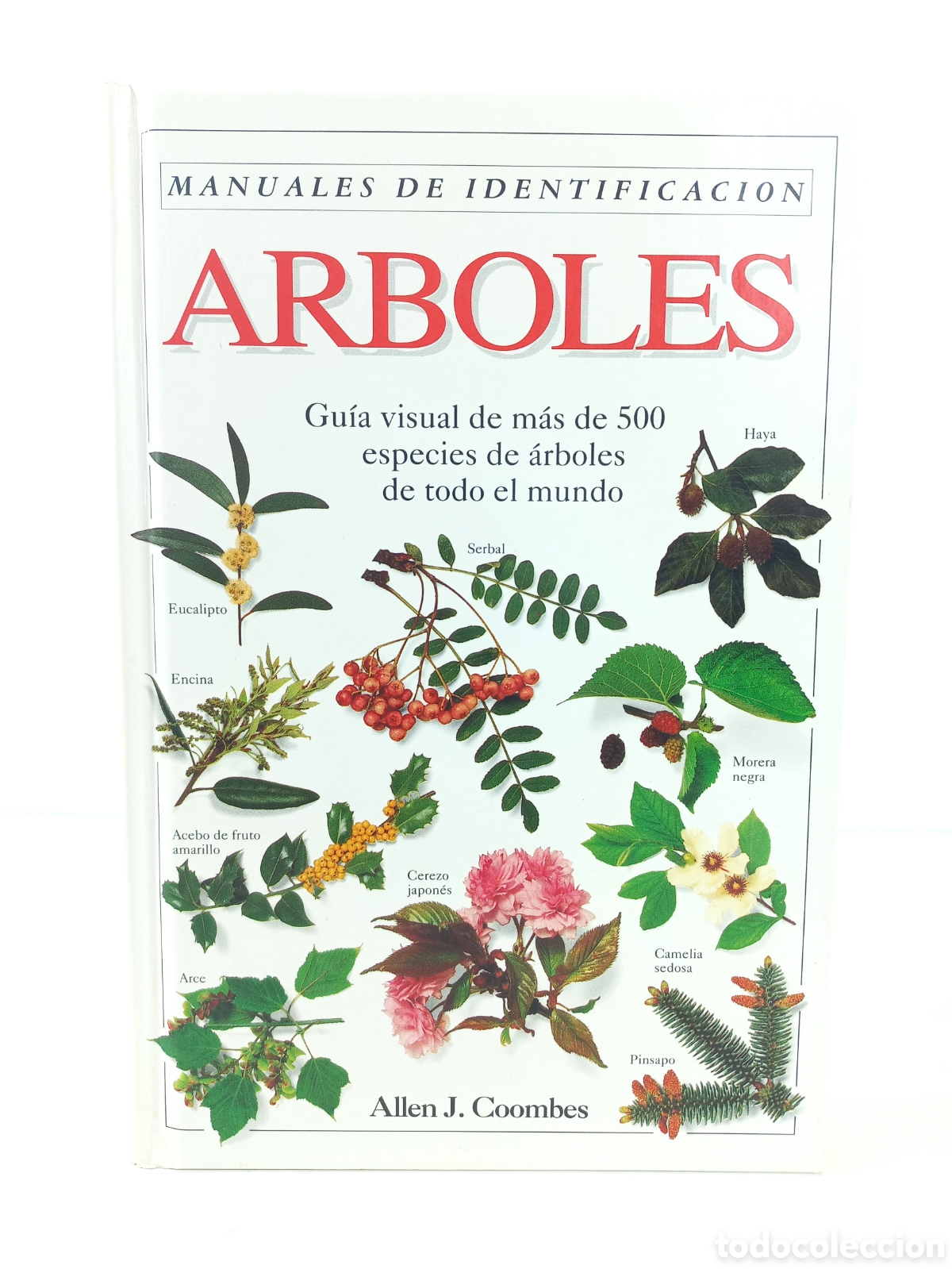 Libros de segunda mano: &Aacute;rboles. Manuales de Identificaci&oacute;n. Allen Coombes. Omega, 1993. Ilustrado.