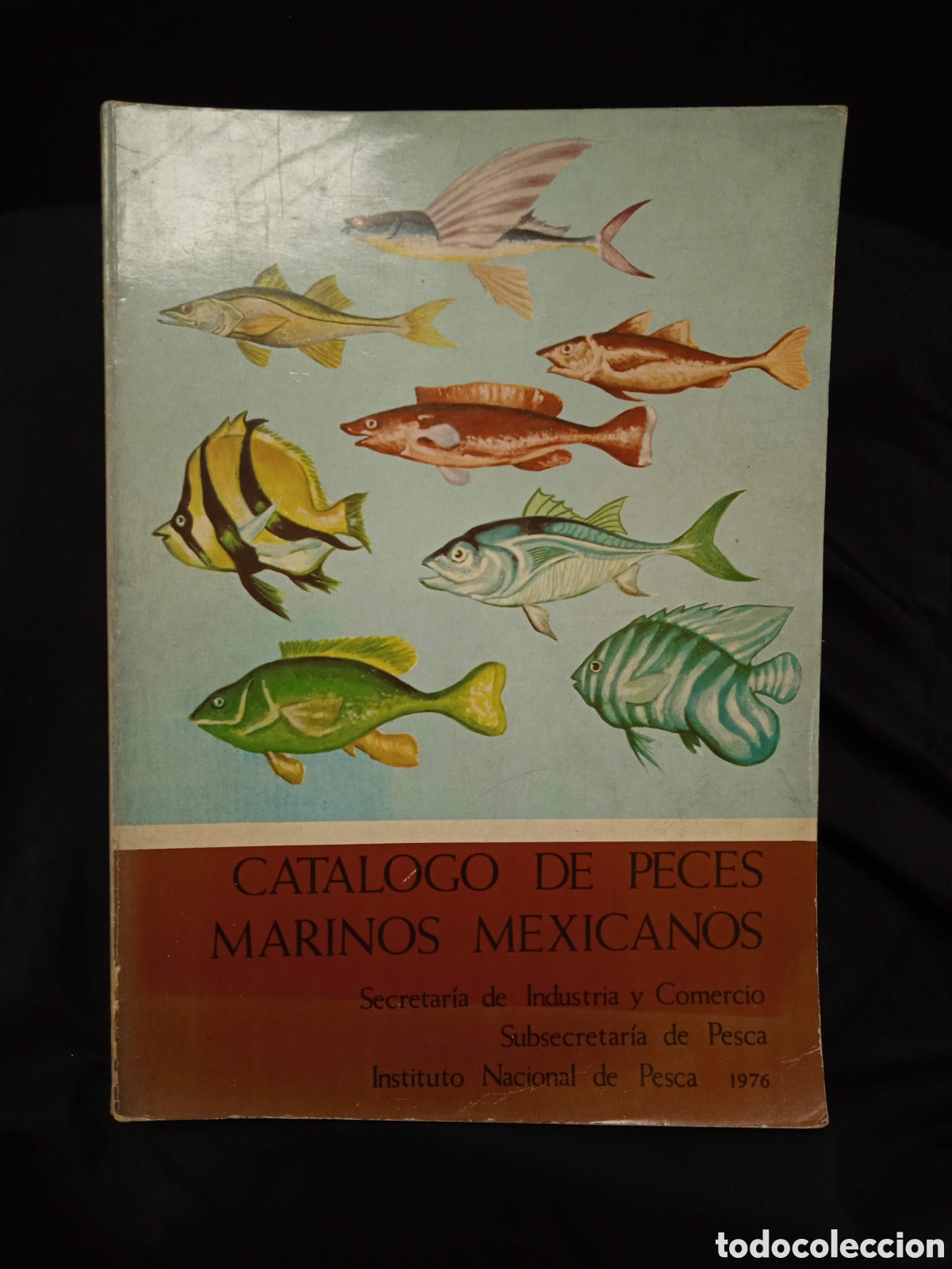 Libros de segunda mano: CAT&Aacute;LOGO DE PECES MARINOS MEXICANOS - INSTITUTO NACIONAL DE PESCA 1976 #K8