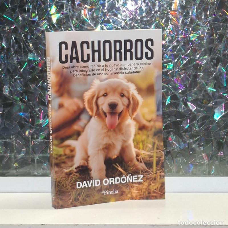 Libros de segunda mano: Cachorros: Descubre C&oacute;mo Recibir a Tu Nuevo Compa&ntilde;ero Canino - David Ord&oacute;&ntilde;ez P&eacute;rez - Editorial Pinol