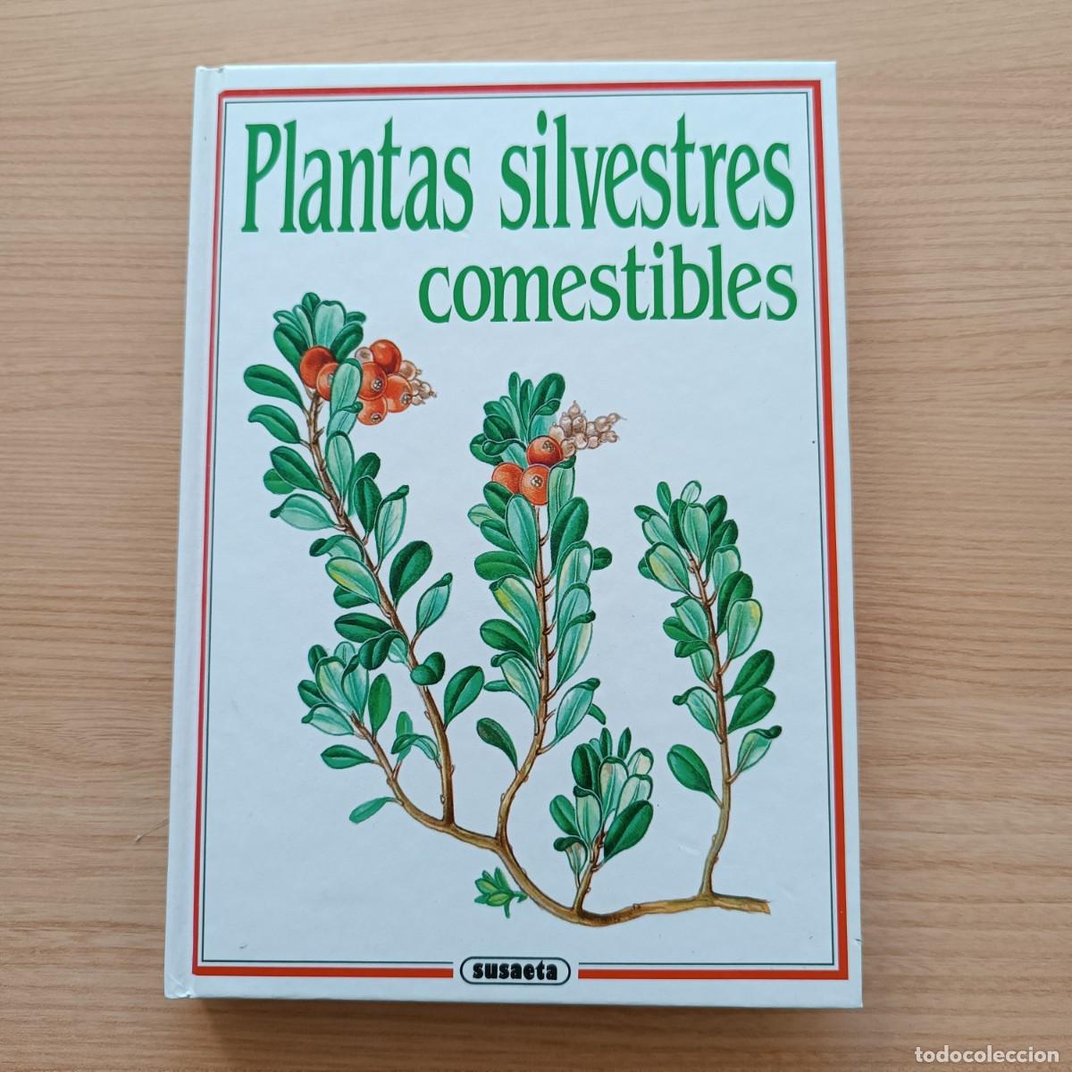 Libros de segunda mano: Plantas silvestres comestibles - Dagmar L&aacute;nsk&aacute;. Susaeta