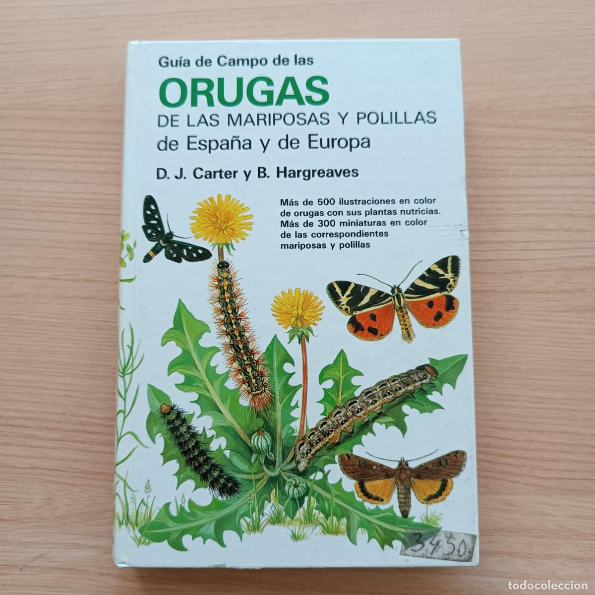 Libros de segunda mano: Gu&iacute;a de campo de las orugas de las mariposas y polillas de Espa&ntilde;a y Europa - Carter y Hargreaves