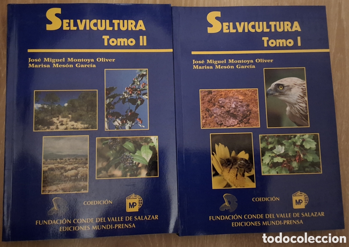 Libros de segunda mano: Selvicultura libro de J. M. Monta&ntilde;a Oliver/M. Mes&oacute;n Garc&iacute;a dos tomos a&ntilde;o 2004