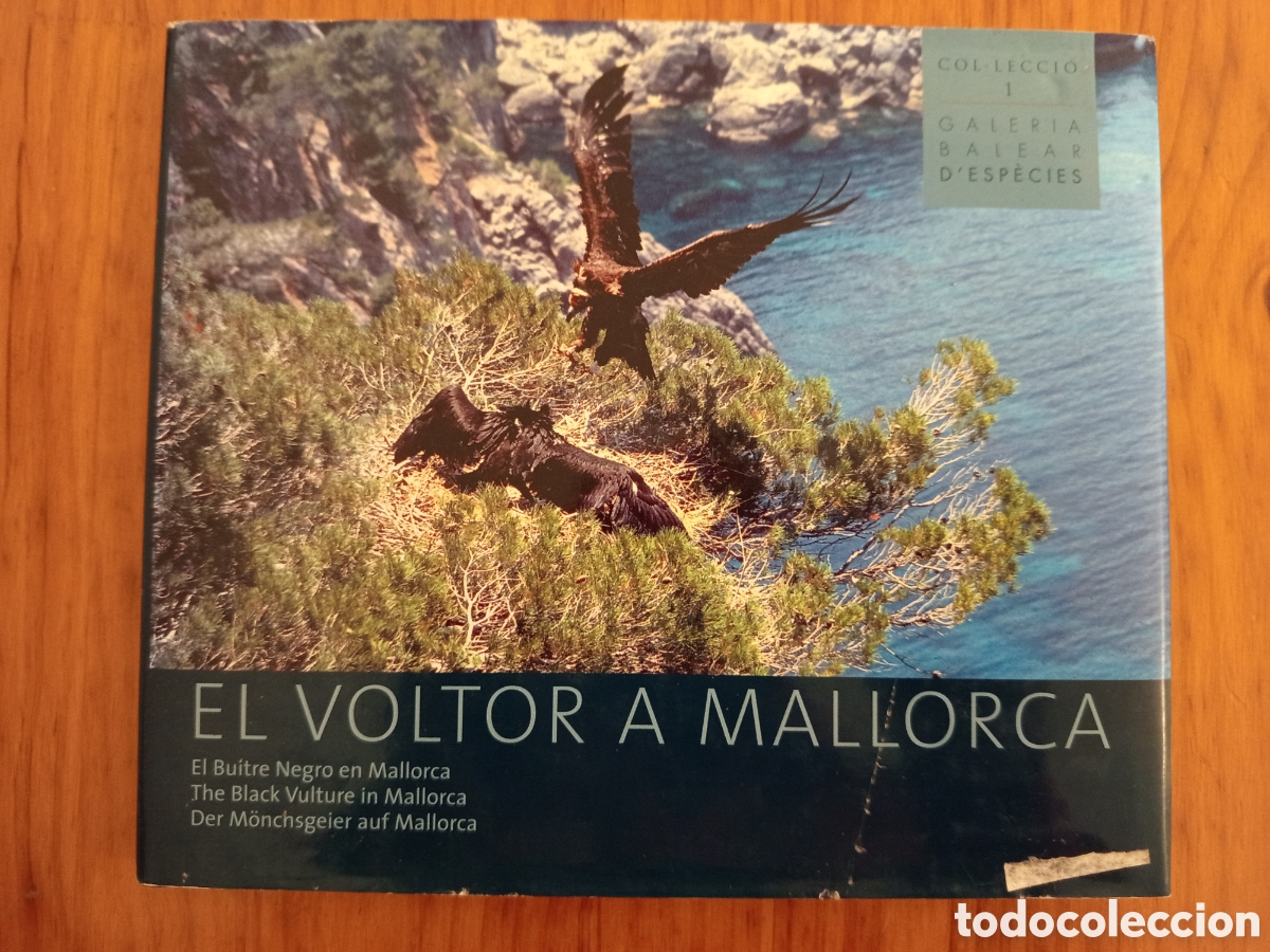 Libros de segunda mano: EL VOLTOR A MALLORCA / EL BUITRE NEGRO EN MALLORCA