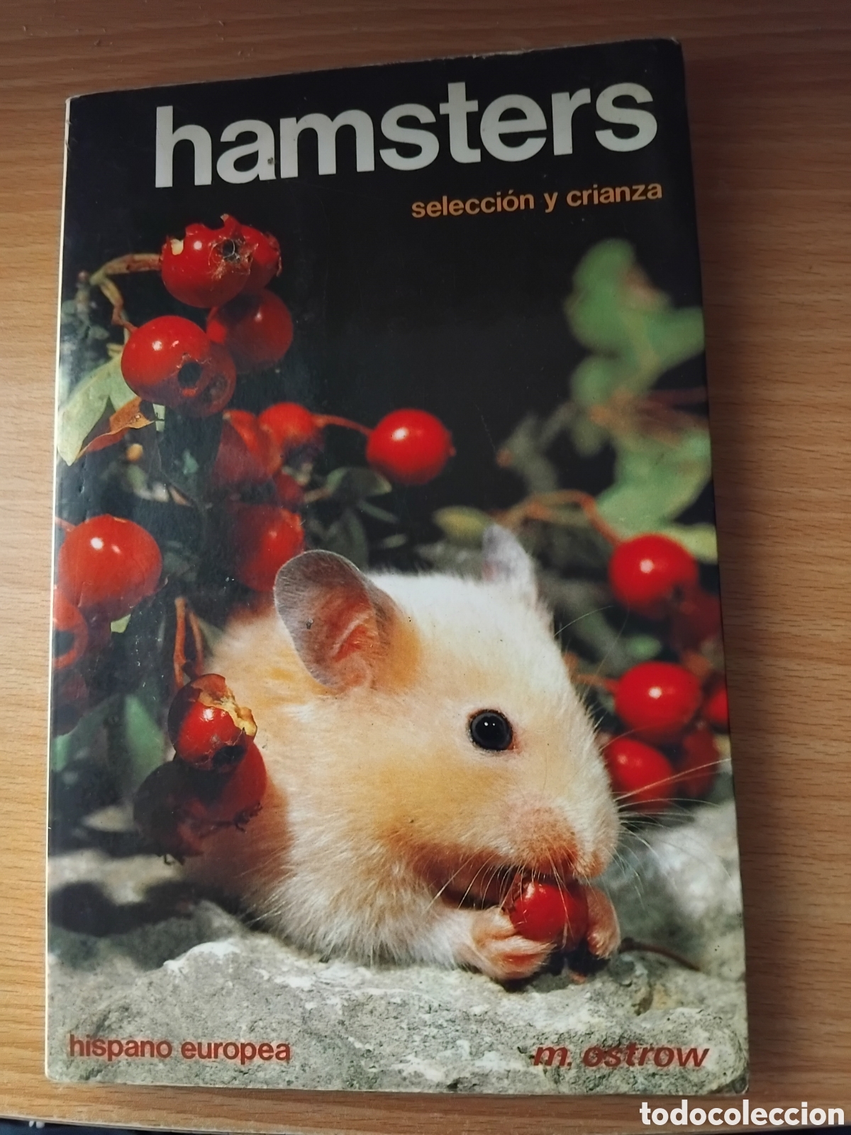Libros de segunda mano: Hamsters,selecci&oacute;n y crianza;M.Ostrow;Hispano Europea;1987