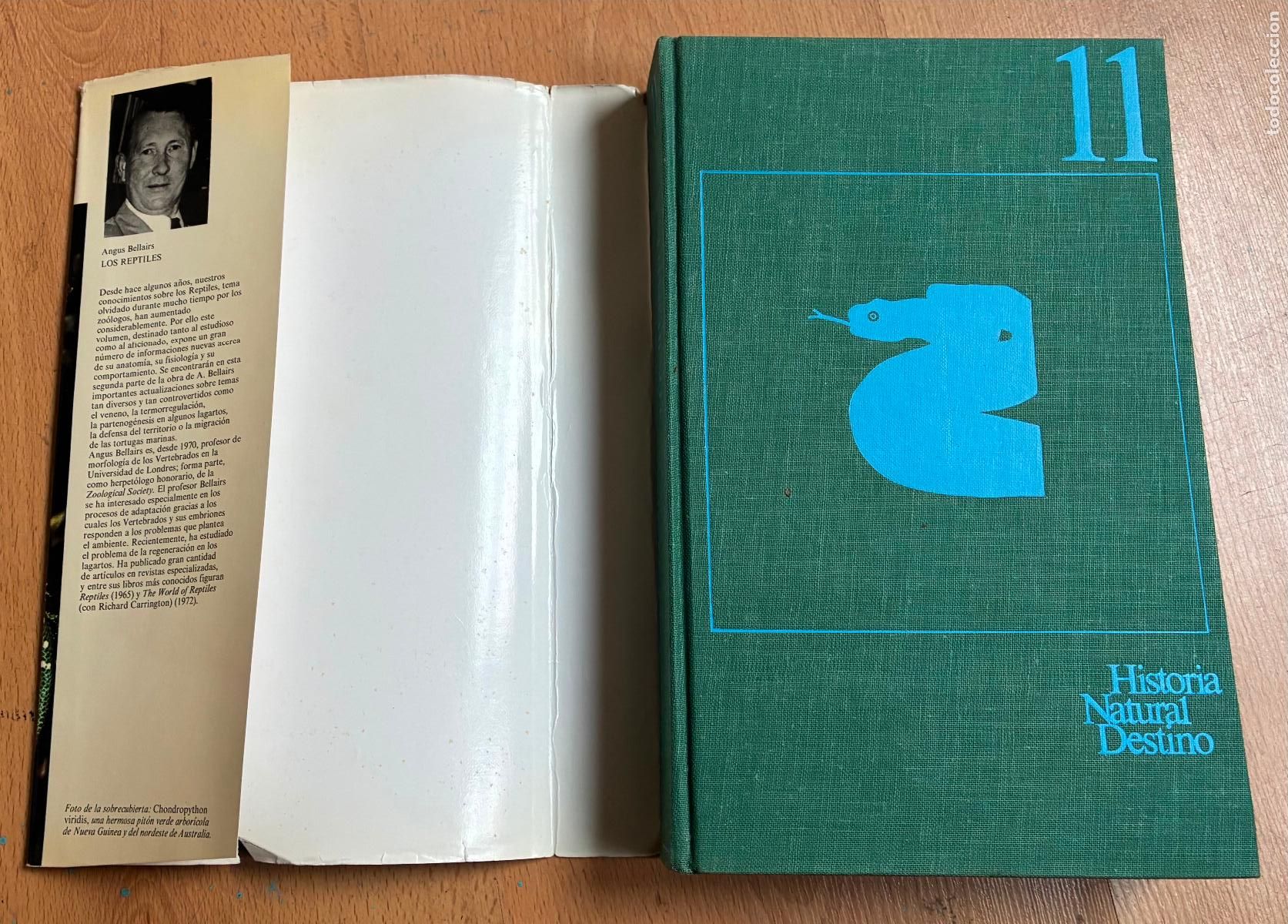 Libros de segunda mano: LOS REPTILES, Angus Bellairs - Foto 4