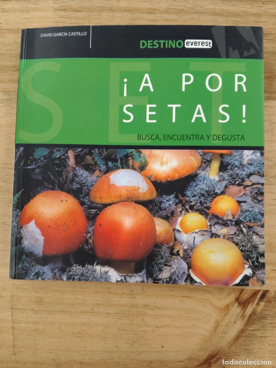 Libros de segunda mano: &iexcl;A por setas!: Busca, encuentra y degusta - David Garc&iacute;a Castillo - Editorial Everest, 2007