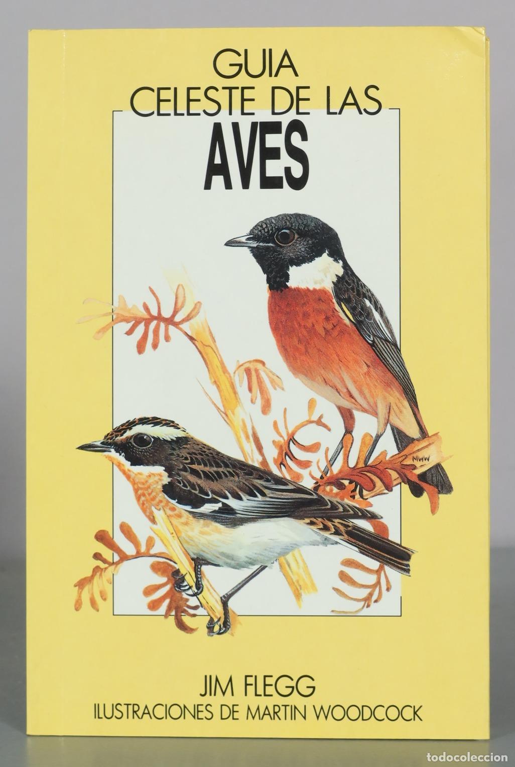 Libros de segunda mano: Guia Celeste de las Aves - Jim Flegg - Martin Woodcock - Editorial Celeste