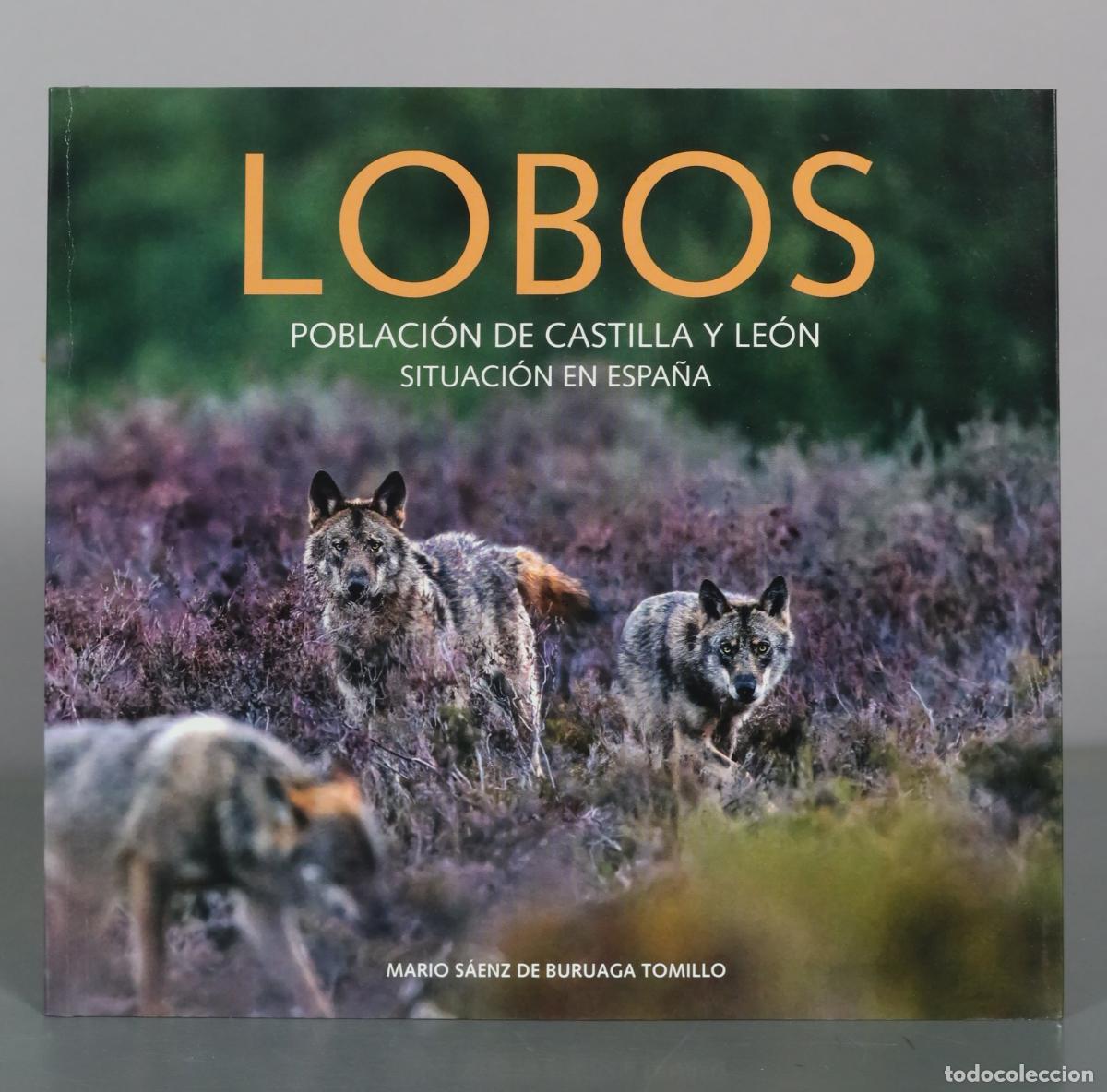 Libros de segunda mano: Lobos - Poblaci&oacute;n de Castilla y Le&oacute;n - Situaci&oacute;n en Espa&ntilde;a - Mario S&aacute;enz de Buruaga Tomillo -