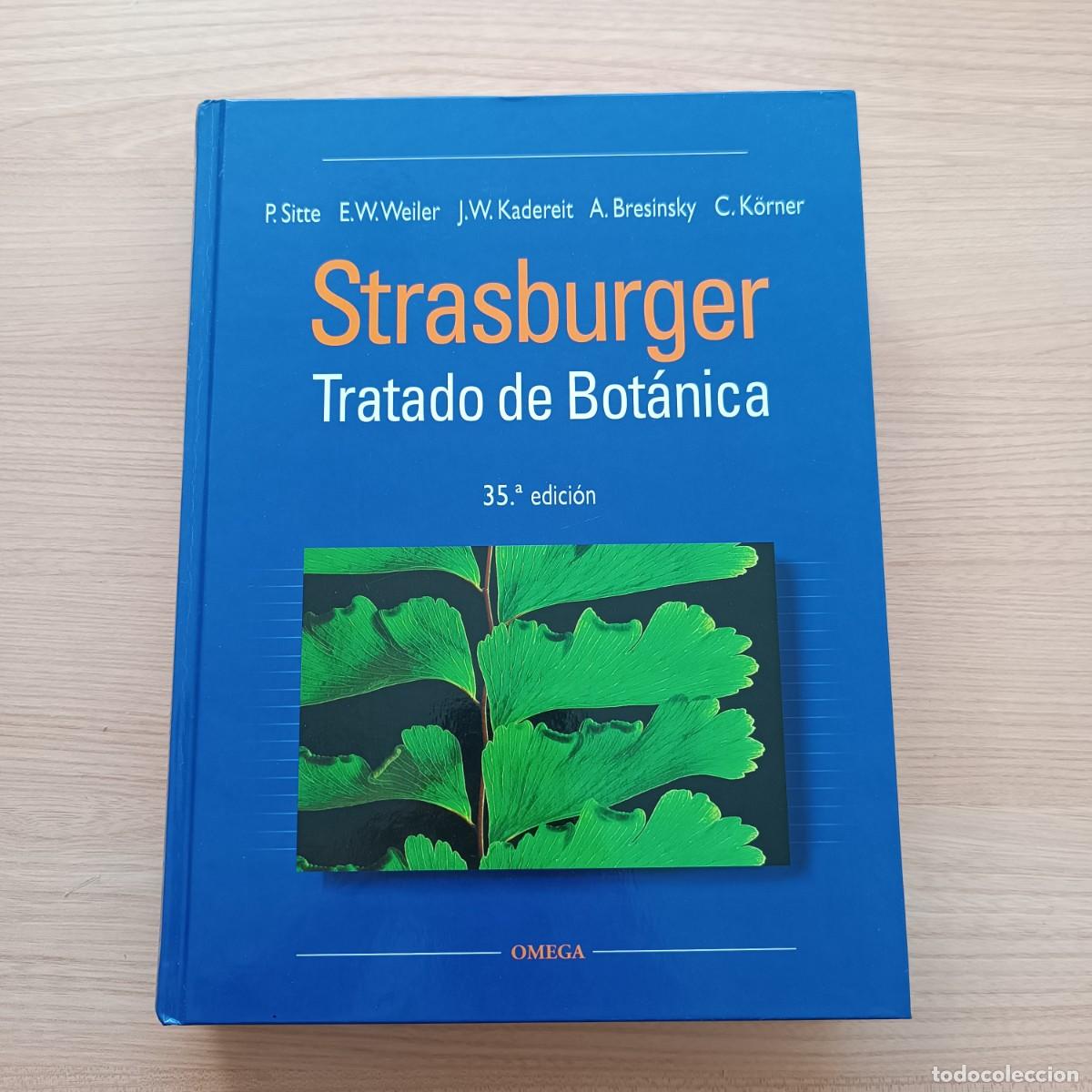 Libros de segunda mano: Strasburger. Tratado de bot&aacute;nica 35&ordf; edici&oacute;n - Sitte / Weiler / Kadereit / Bresinsky y K&ouml;rner. Omega