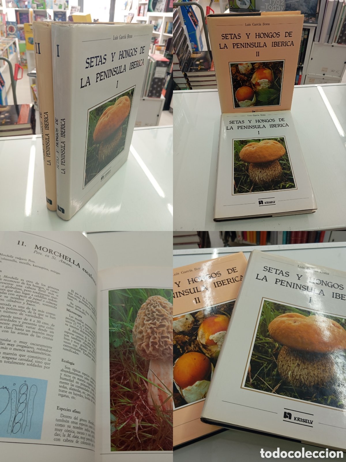 Libros de segunda mano: SETAS Y HONGOS DE LA PENINSULA IBERICA 2 tomos Obra Completa LUIS GARCIA BONA KRISELU MICOLOGIA
