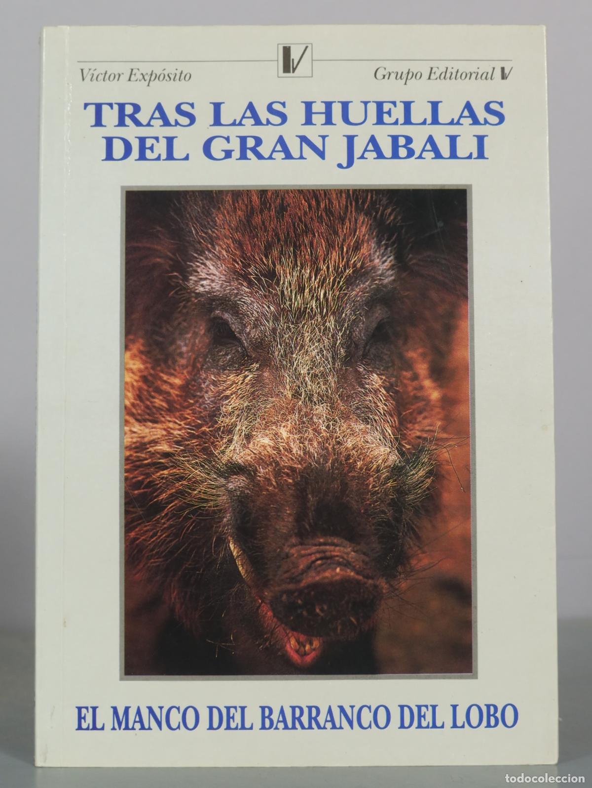 Libros de segunda mano: Tras las huellas del gran jabali - El manco del barranco del lobo - Victor Exp&oacute;sito - Grupo