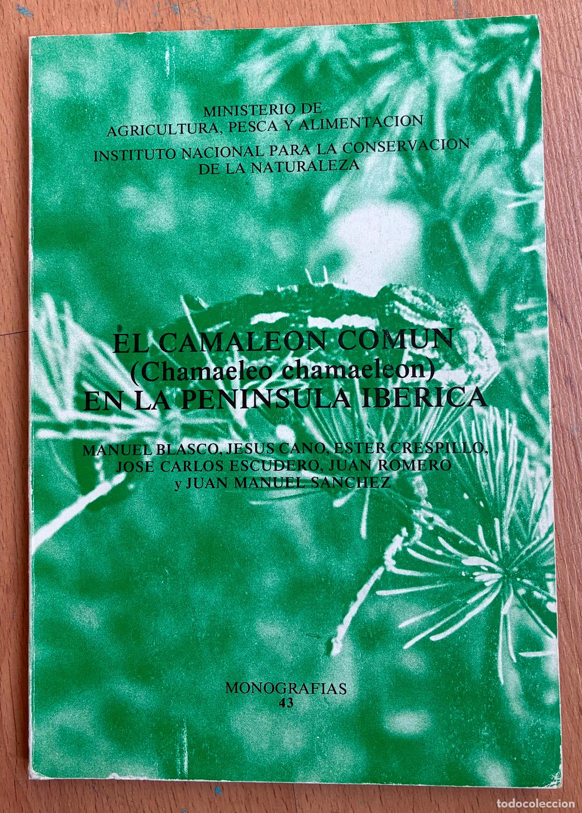 Libros de segunda mano: EL CAMALEON COMUN EN LA PENINSULA IBERICA, Varios autores