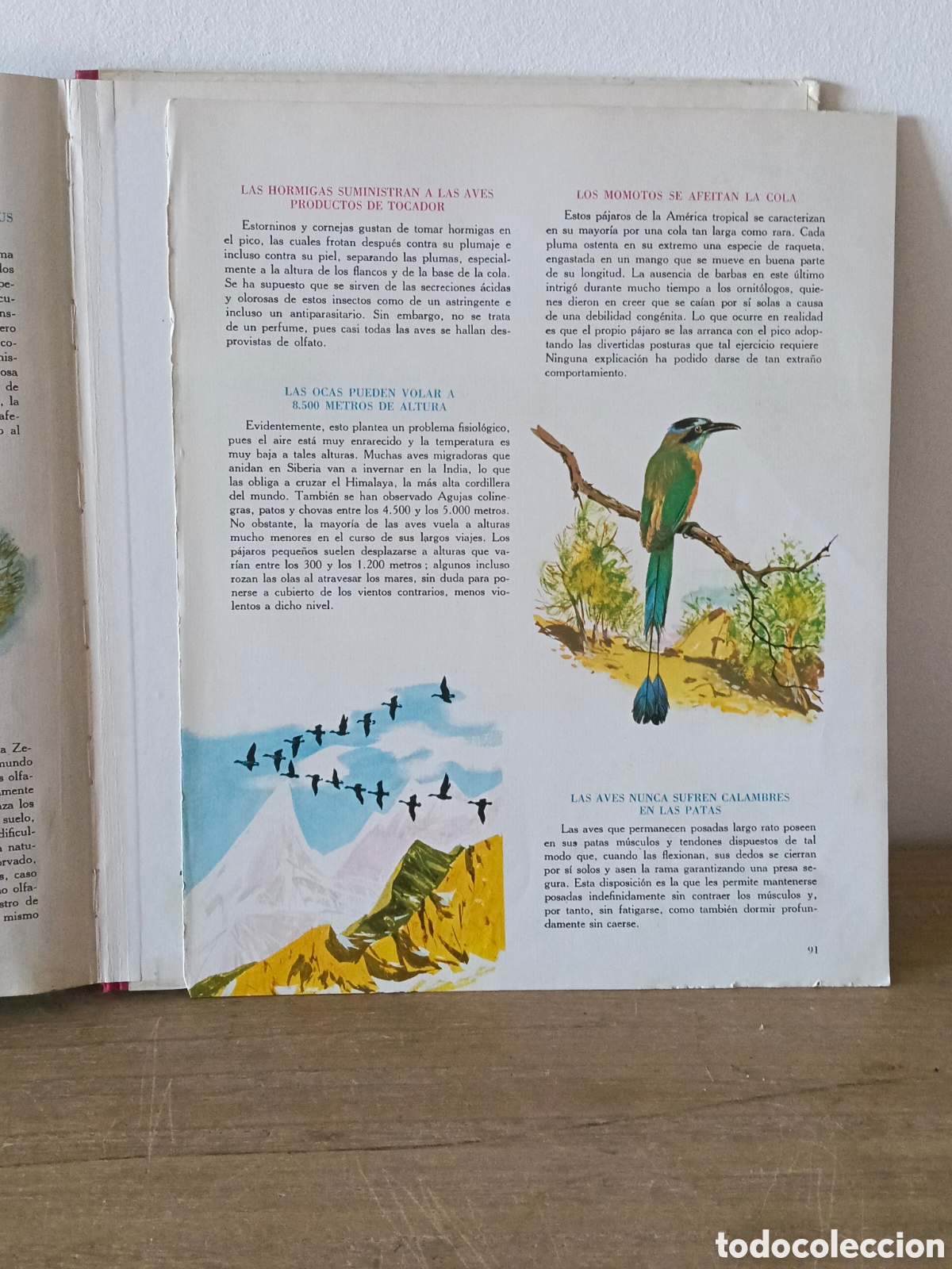 Libros de segunda mano: Libro El mundo de las aves