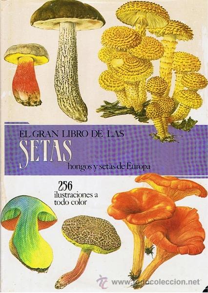Libros de segunda mano: EL GRAN LIBRO DE LAS SETAS PRIMERA EDICI&Oacute;N 1989 - Foto 1
