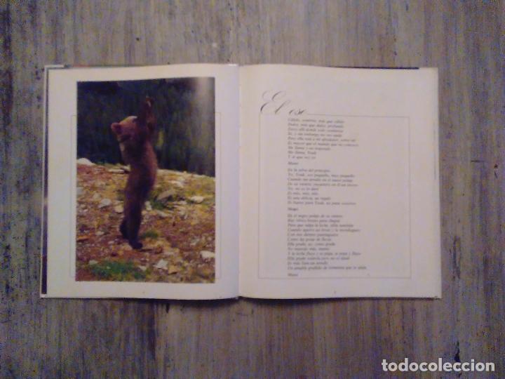 Libros de segunda mano: El Oso - Basado en la pel&iacute;cula de Jean Jacques Annaud - Foto 3