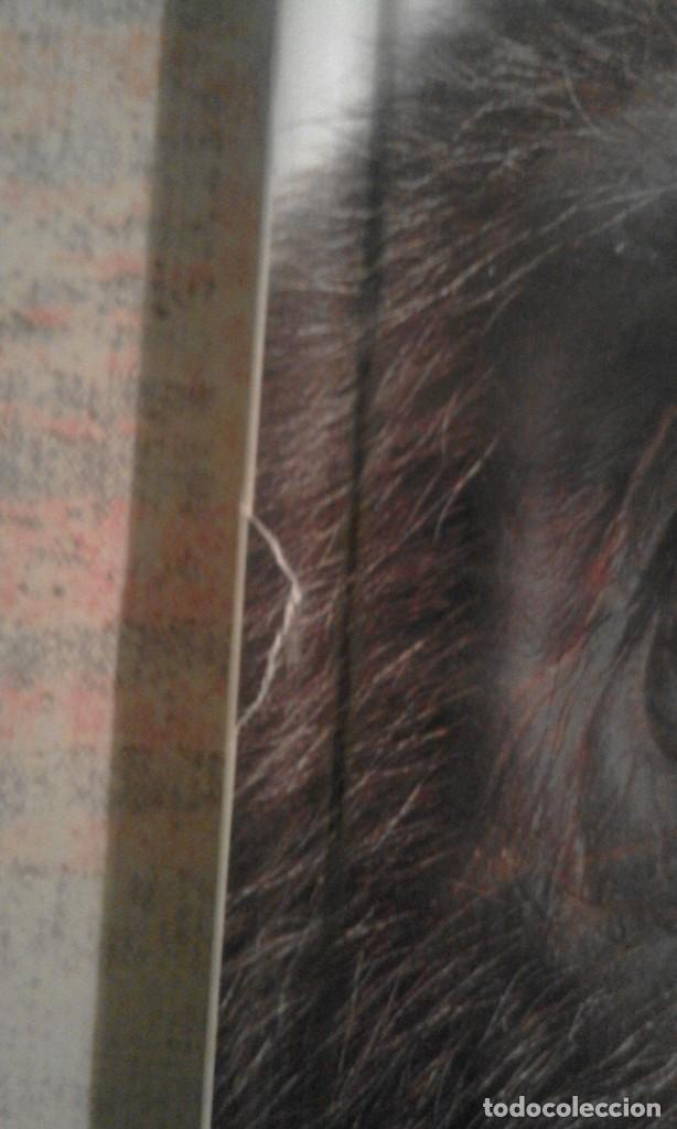 Libros de segunda mano: Efectes especials al cinema i a la televisi&oacute; - Jake Hamilton - Foto 3