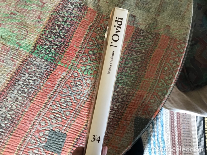 Libros de segunda mano: L&rsquo;Ovidi. N&uacute;ria Cadenas. 3i4. - Foto 2