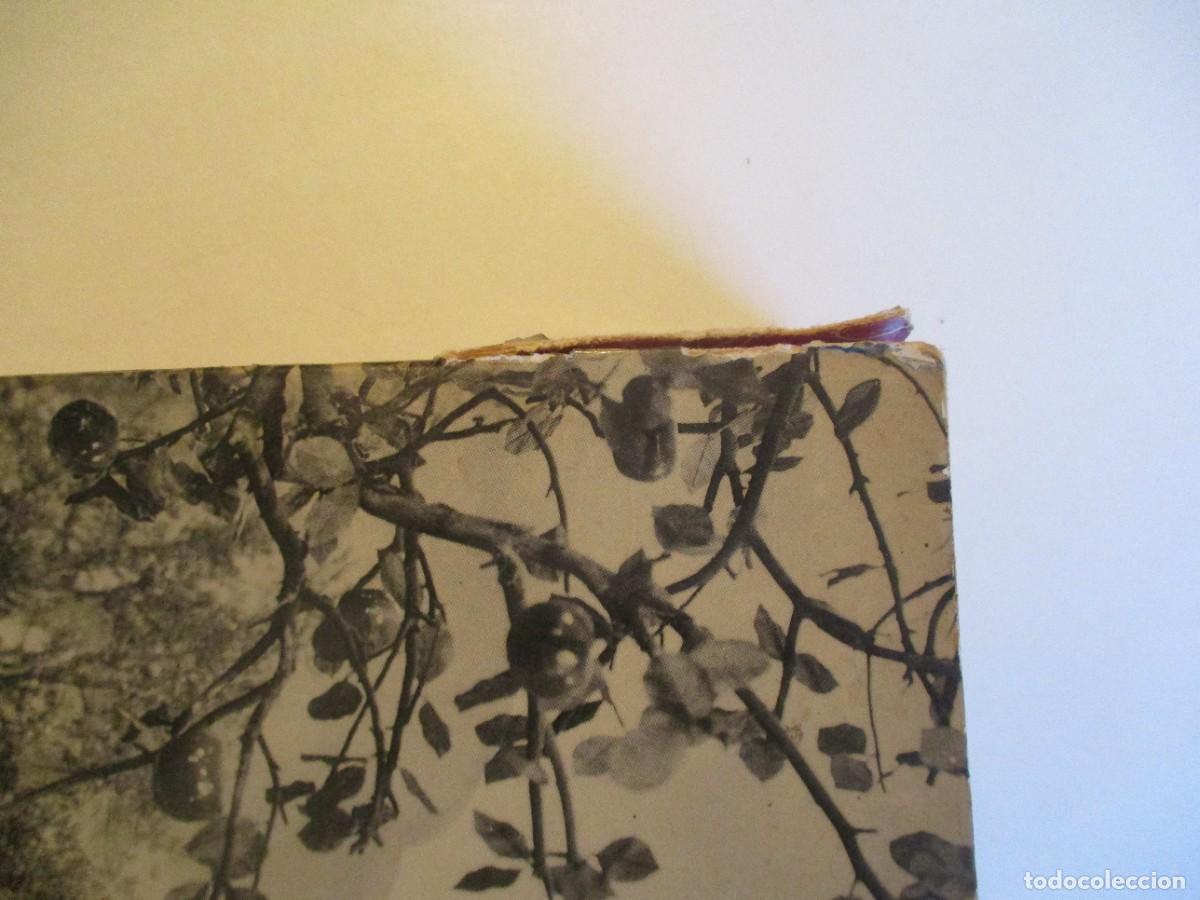 Libros de segunda mano: O MUSICAL (portugu&eacute;s) W23633 - Foto 8