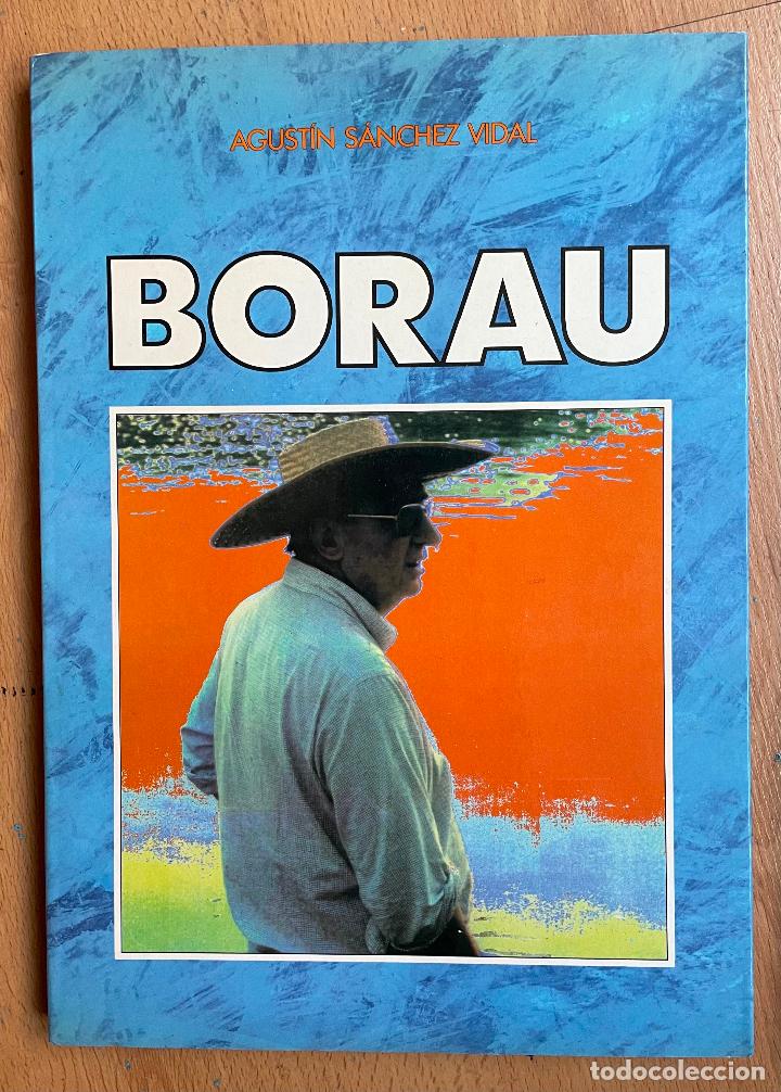 Libros de segunda mano: BORAU, Agustin Sanchez Vidal - Foto 1