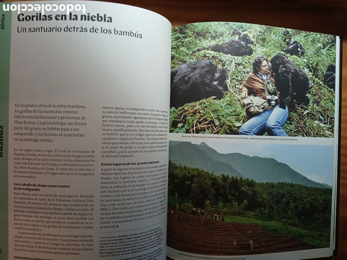 Libros de segunda mano: Atlas del Cine. Olivier Bousquet, Arnaud Devillard. - Foto 13