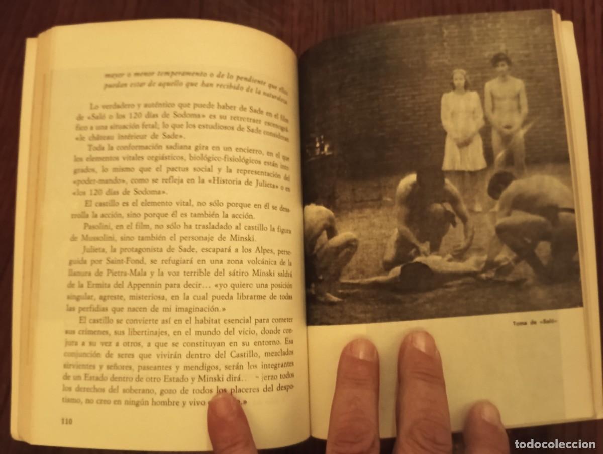 Libros de segunda mano: En torno a Pasolini.-ROBERTO LAURENTI. - Foto 4