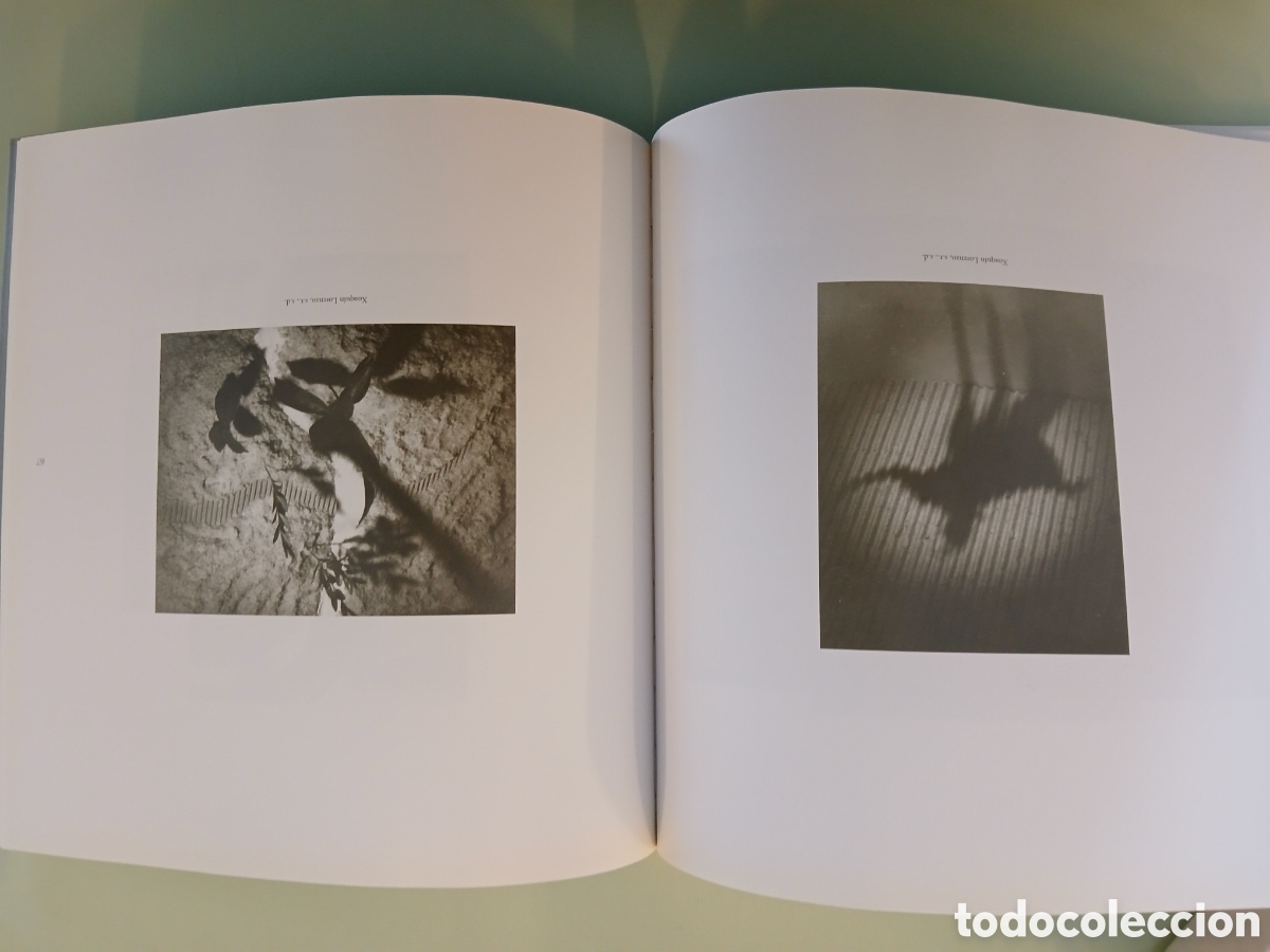 Libros de segunda mano: O Carro e o Home. Museo do Pobo Galego. - Foto 11