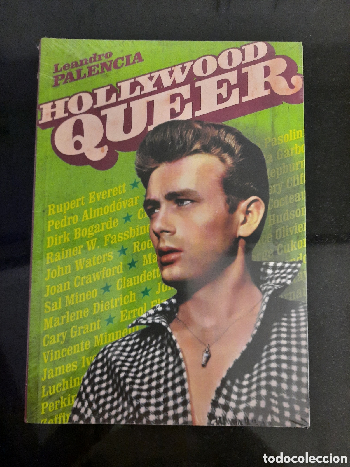 Libros de segunda mano: HOLLYWOOD QUEER, LEANDRO PALENCIA - Foto 1