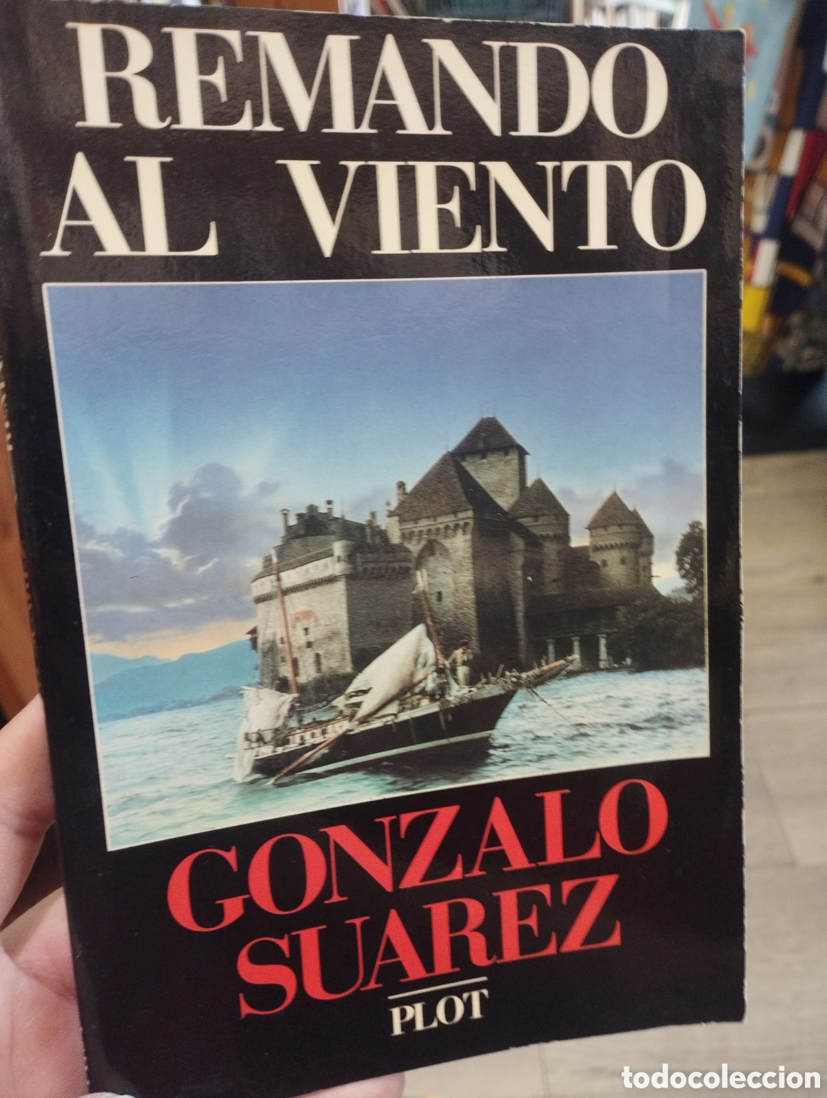 Libros de segunda mano: Remando al viento. - Gonzalo Su&aacute;rez - Foto 1