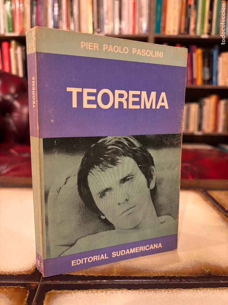 Libros de segunda mano: Teorema. Pier Paolo Pasolini. Editorial Sudamericana. PEDIDO M&Iacute;NIMO 5&euro;