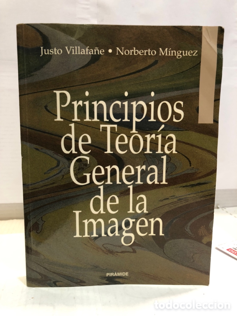 Gebrauchte B&uuml;cher: Justo Villafa&ntilde;e, Norberto M&iacute;nguez - Principios de Teor&iacute;a General de la Imagen
