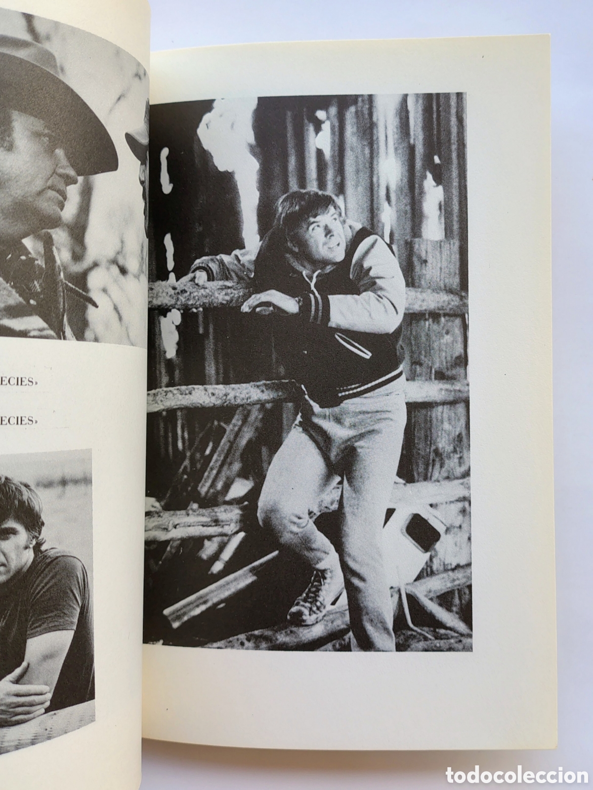 Libros de segunda mano: Alan Rudolph &ndash; Dossier | Imagfic 87 (1987) - Foto 6