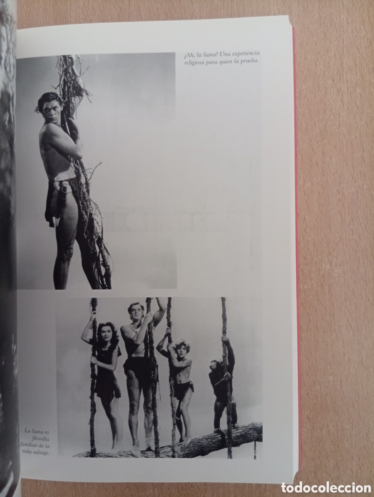 Libros de segunda mano: TARZ&Aacute;N. Eduardo Gal&aacute;n Blanco - Foto 13