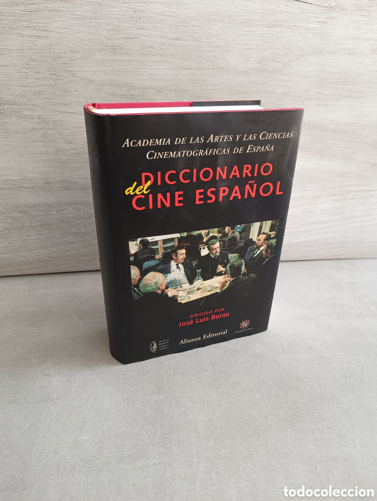 Second hand books: Diccionario del cine espa&ntilde;ol - Borau Moradell, Jose Luis