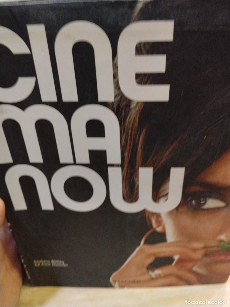 Libros de segunda mano: Cinema Now. Andrew Bailey. Ed. Paul Duncan