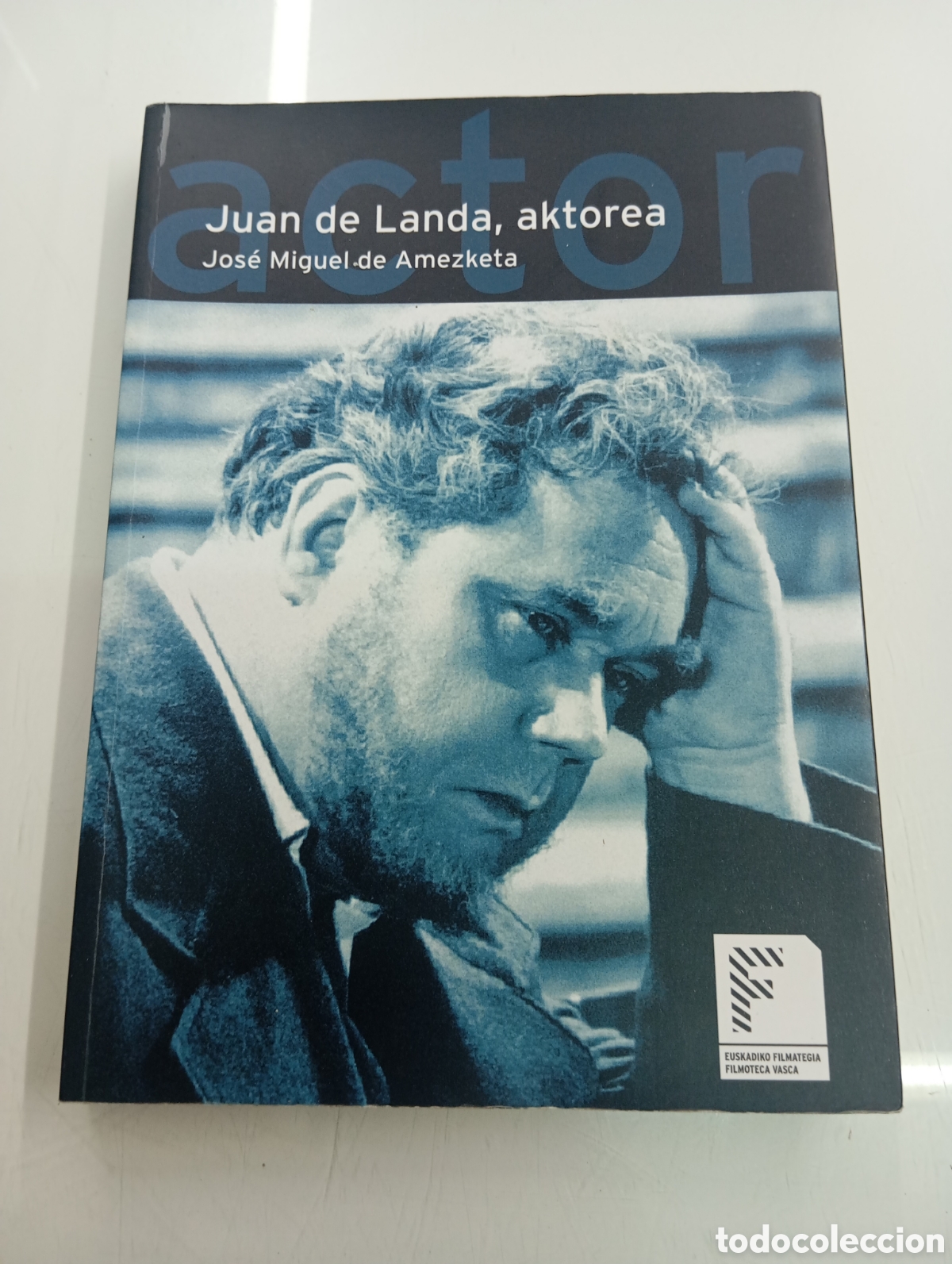 Libros de segunda mano: JUAN DE LANDA AKTOREA JOSE MIGUEL DE AMEZKETA FILMOTECA VASCA CINE A&Ntilde;OS 30 ACTOR HOLLYWOOD MUDO