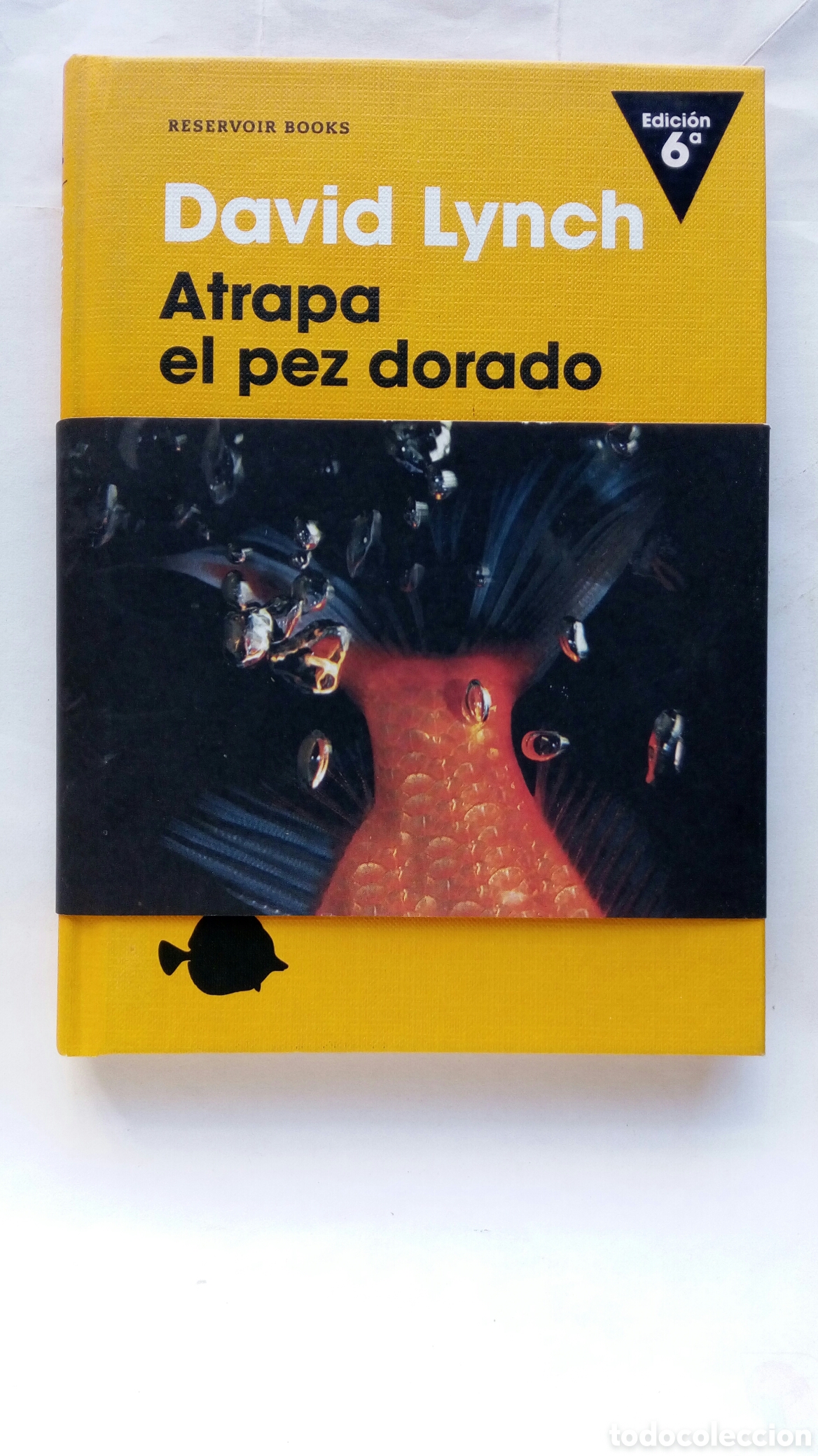 Libros de segunda mano: Atrapa el pez dorado. David Lynch.