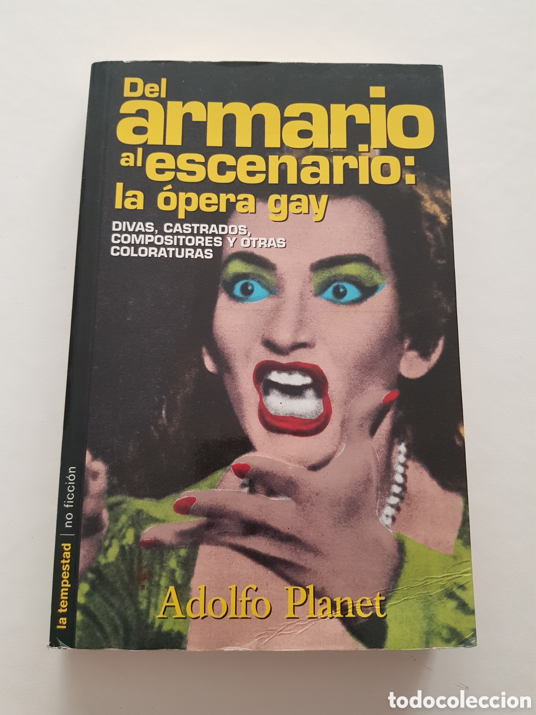 Libros de segunda mano: DEL ARMARIO AL ESCENARIO : LA OPERA GAY - DIVAS - CASTRADOS - COMPOSITORES Y OTRAS CRIATURAS LGTBI