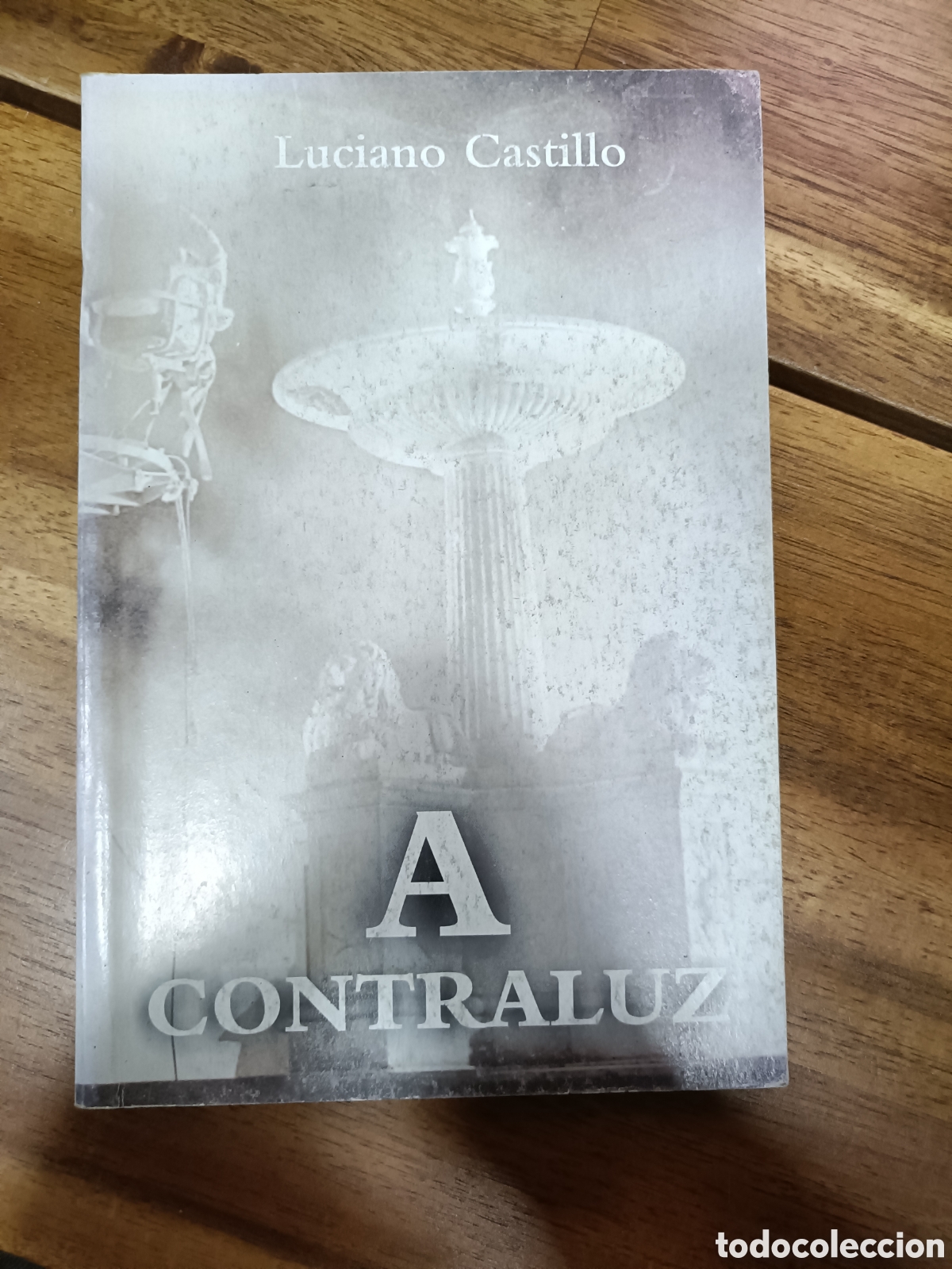 Libros de segunda mano: A contraluz, Luciano Castillo Editorial Oriente 2005 Cuba instituto cubano del libro