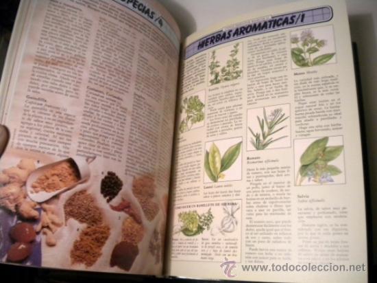 Libros de segunda mano: Tomo 6 Cocina Practica - Conocimientos B&aacute;sicos - 1.992 - Foto 3