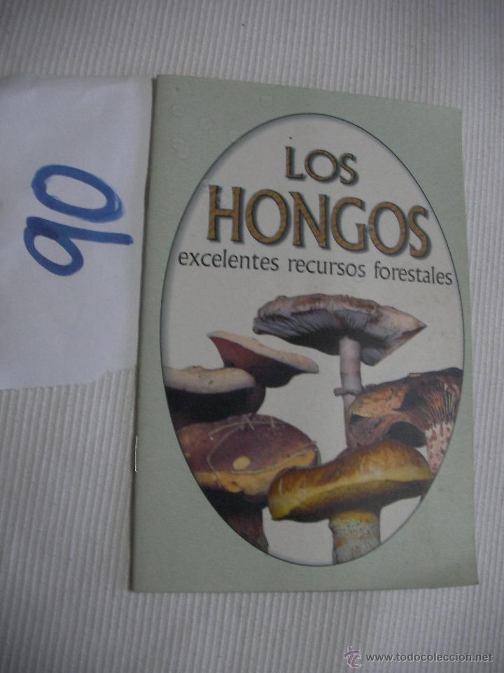 Libros de segunda mano: LOS HONGOS - Foto 1